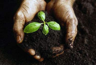 農用地土壤環境調查與修復——土壤污染治理與修復項目申請